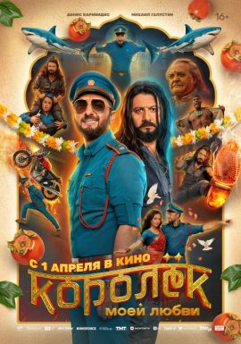 Королёк моей любви