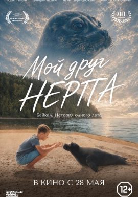 Киноклуб: Мой друг нерпа